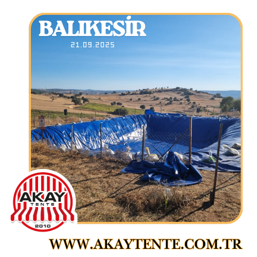 Bilecik Gölet Brandası