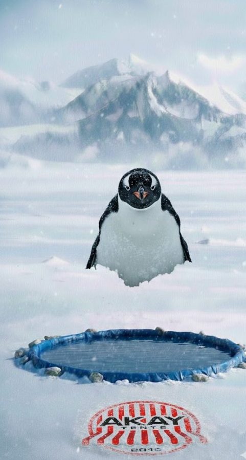 Manisa Gölet Brandası Fiyatları